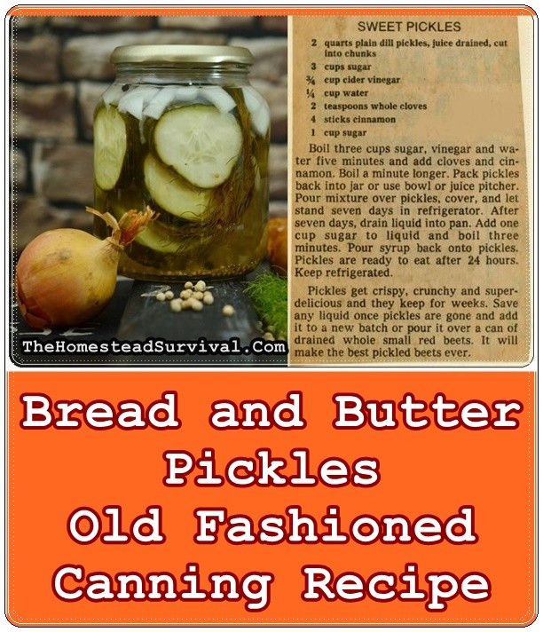 Bread And Butter Pickle Canning Recipe
 Bread and Butter Pickles Old Fashioned Canning Recipe