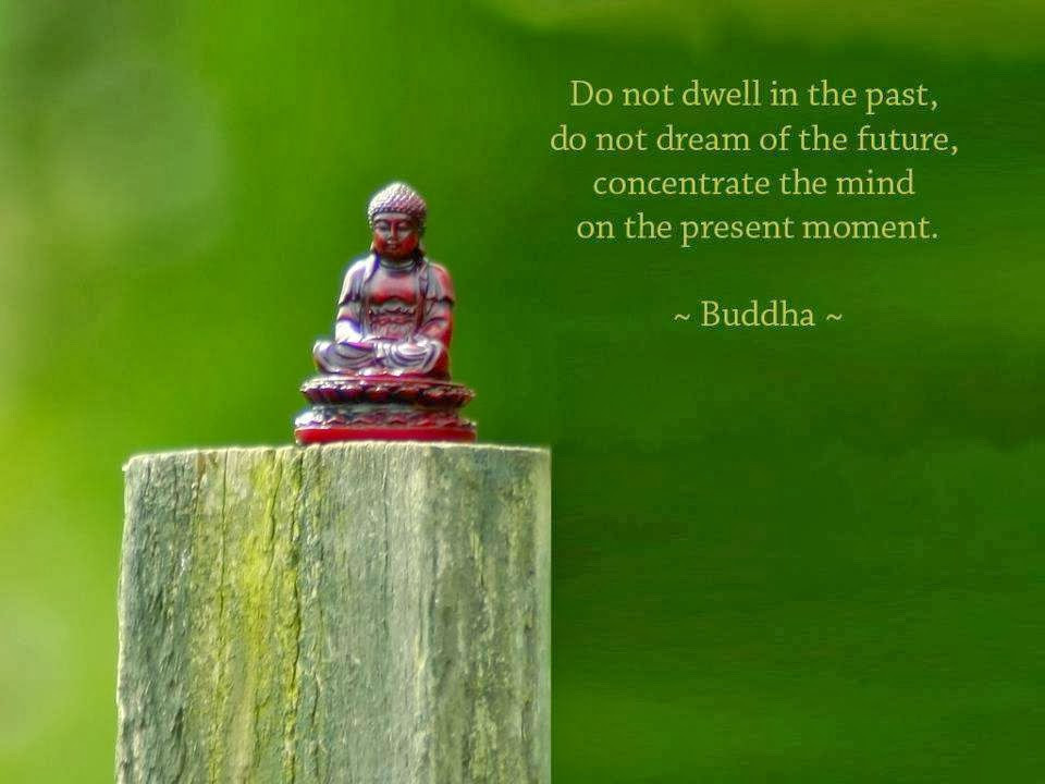 Buddha Birthday Quote
 Buddhist Birthday Quotes QuotesGram