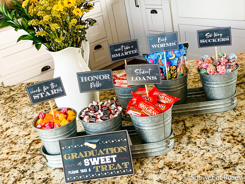 Buffet Ideas For Graduation Party
 Shower of Roses Graduation Party Candy Buffet Free