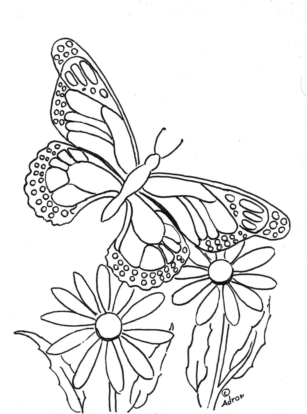 Butterfly Printable Coloring Pages
 Coloring Pages for Kids by Mr Adron Butterfly Coloring