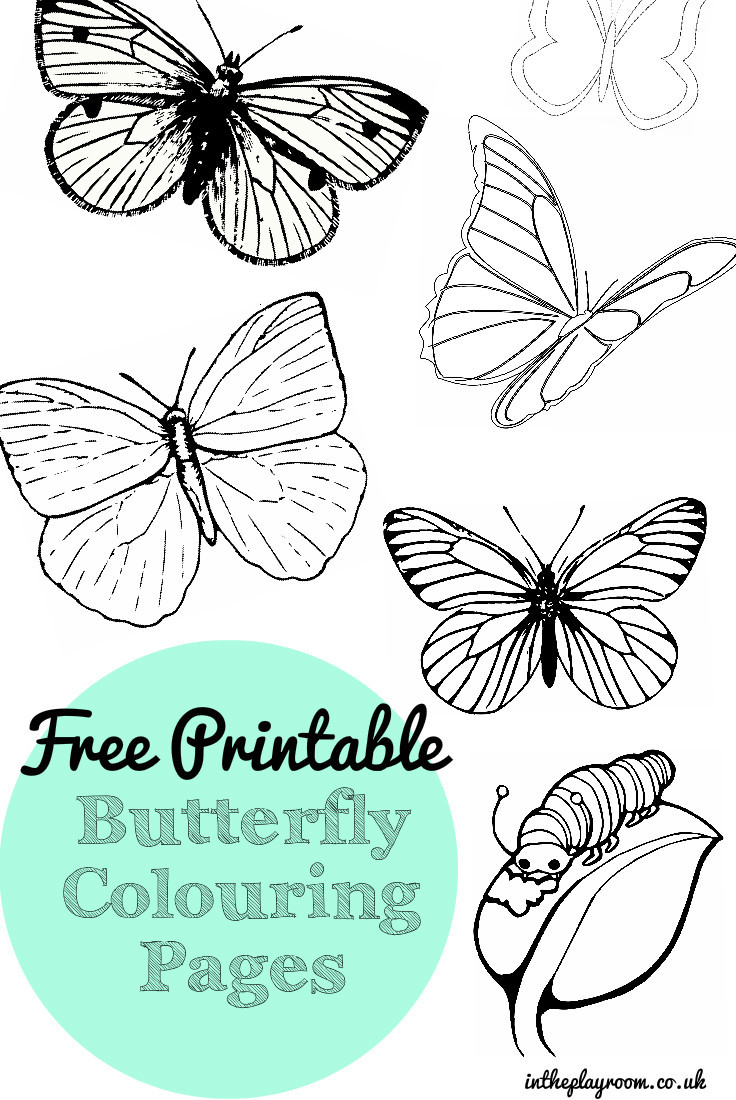 Butterfly Printable Coloring Pages
 Free Printable Butterfly Colouring Pages In The Playroom