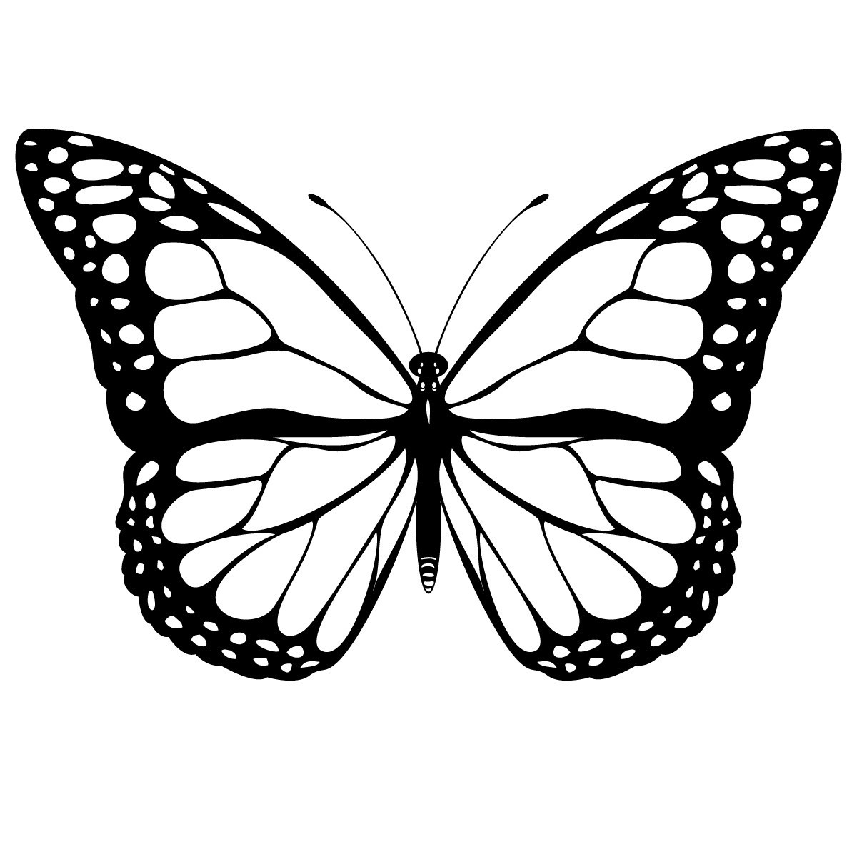Butterfly Printable Coloring Pages
 free printable coloring pages butterfly 2015