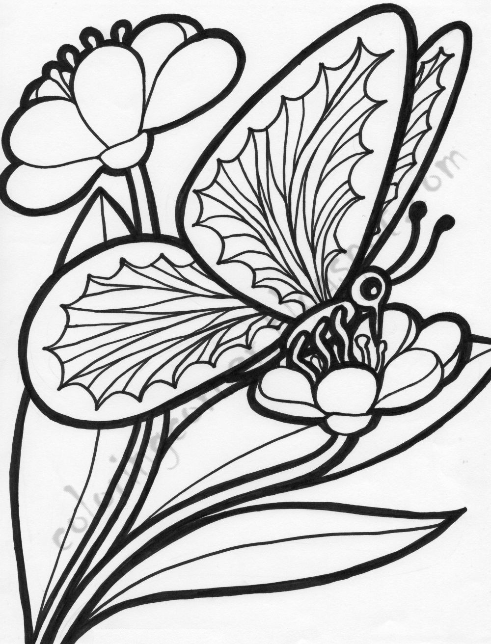 Butterfly Printable Coloring Pages
 Coloring Flowers And Butterflies Beautiful