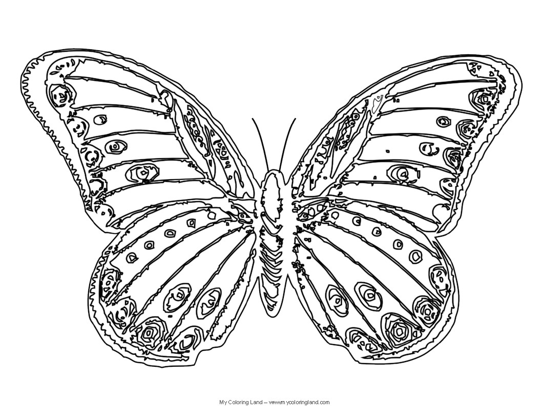 Butterfly Printable Coloring Pages
 Butterfly My Coloring Land