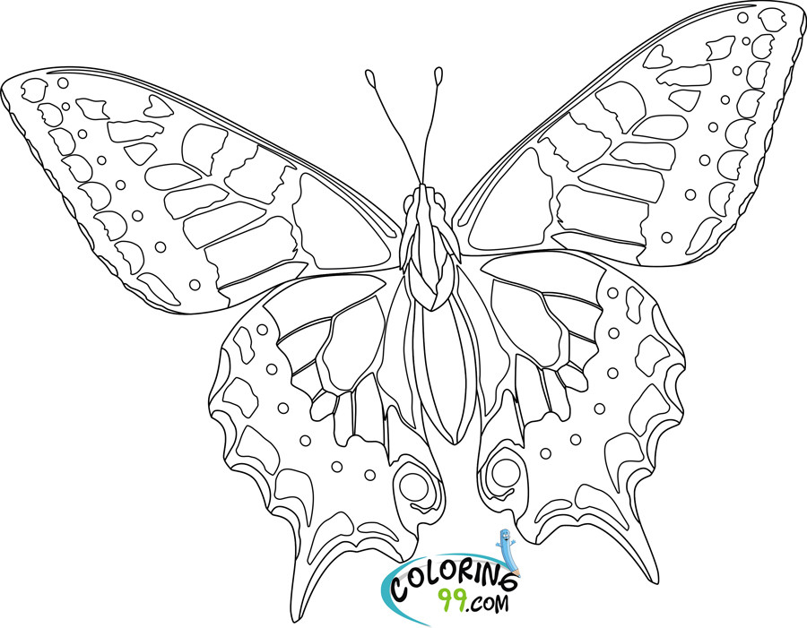 Butterfly Printable Coloring Pages
 Butterfly Coloring Pages
