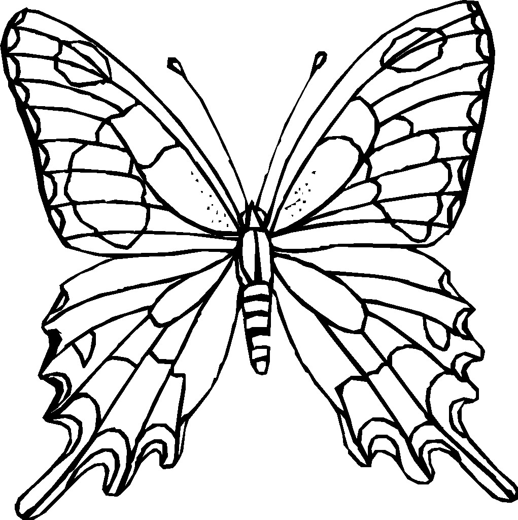 Butterfly Printable Coloring Pages
 Monarch Butterfly Coloring Pages
