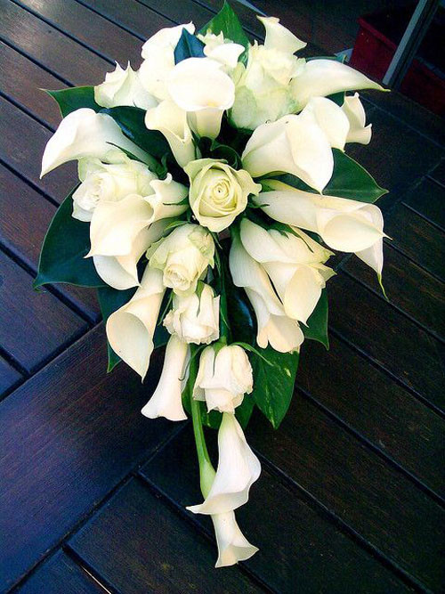 Calla Lily Wedding Flowers
 Wedding Flowers Calla Lily