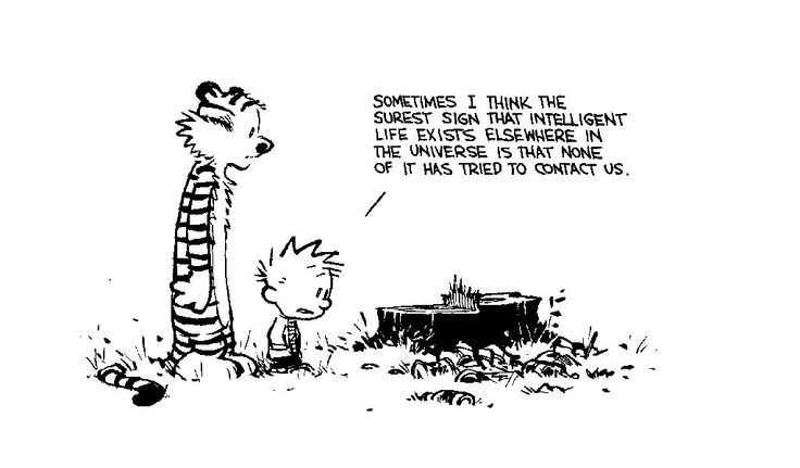 Calvin And Hobbes Friendship Quotes
 53 best images about My Favorite Calvin & Hobbes Quotes on