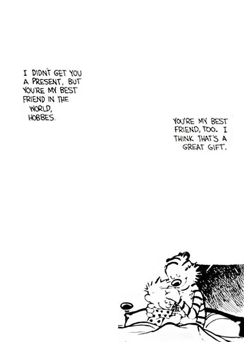 Calvin And Hobbes Friendship Quotes
 Calvin and Hobbes on The Value of Friendship