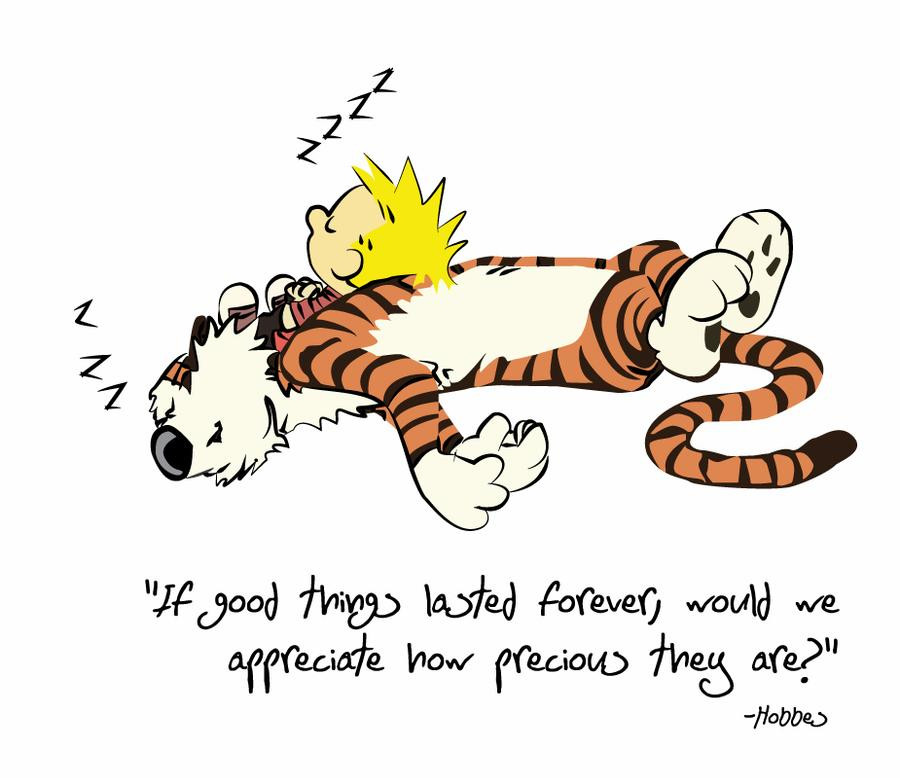 Calvin And Hobbes Friendship Quotes
 Hobbes Quote by Lizink on DeviantArt