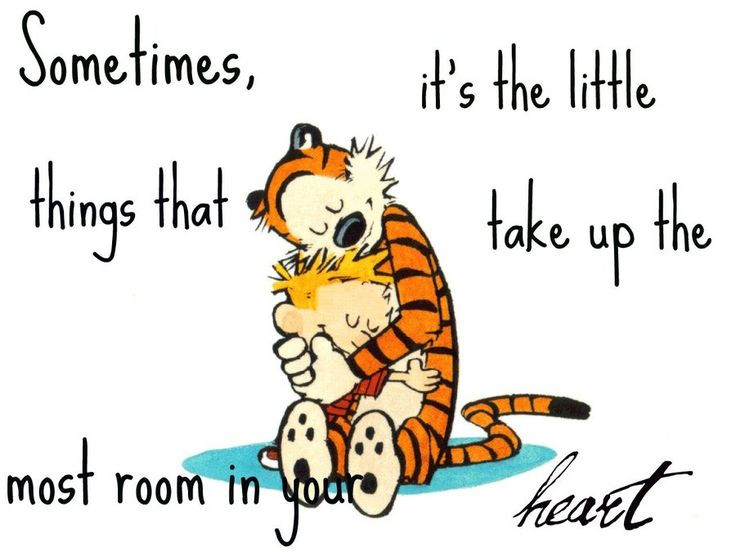 Calvin And Hobbes Friendship Quotes
 Life Quotes & Inspiration Calvin And Hobbes Friendship