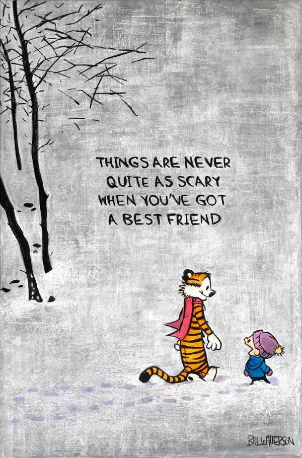Calvin And Hobbes Friendship Quotes
 100 best images about Oh Bother on Pinterest