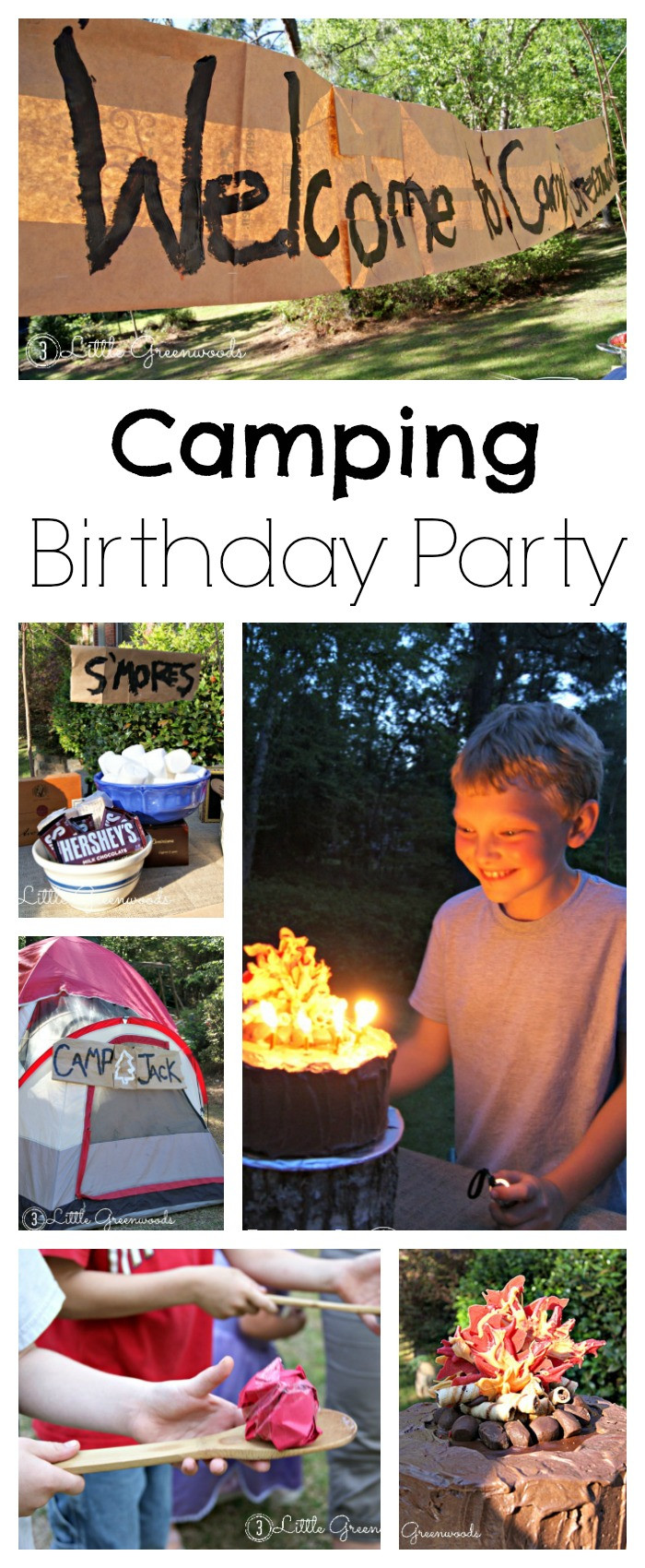 Camping Birthday Party Games
 Camping Birthday Party Fun