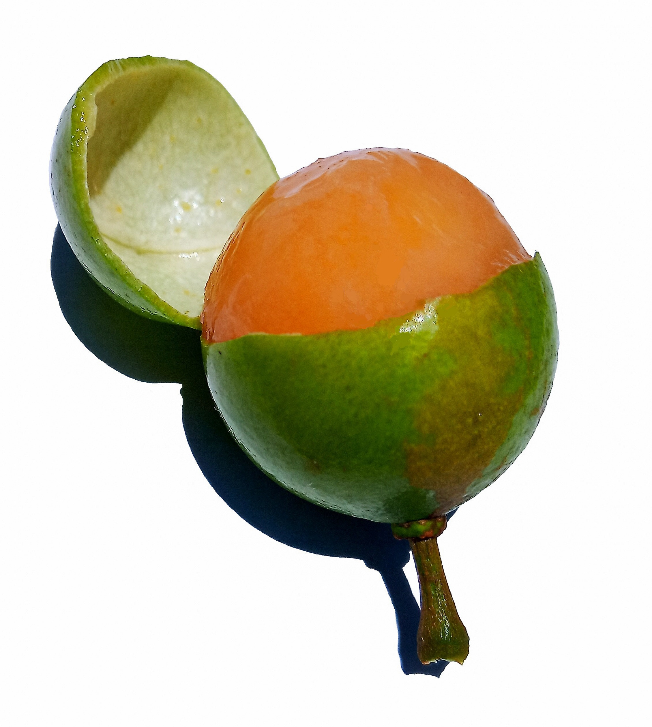 Canapes Puerto Rican Fruit
 Melicoccus bijugatus Wikiwand
