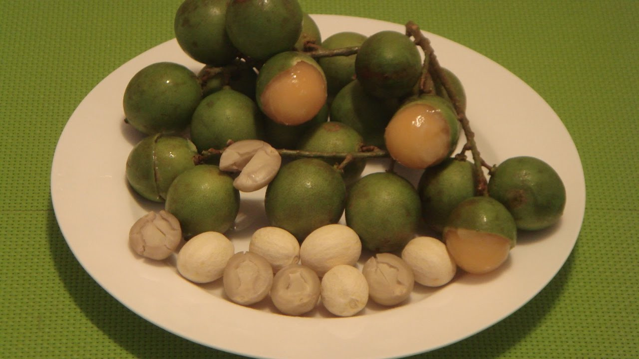 Canapes Puerto Rican Fruit
 How to Cook Quenepa Seeds