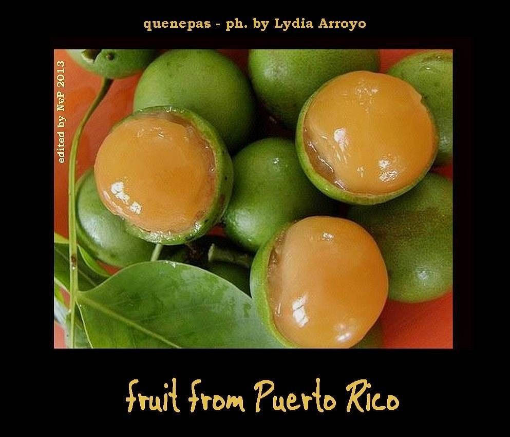 Canapes Puerto Rican Fruit
 fruit from puerto rico Google Search in 2019