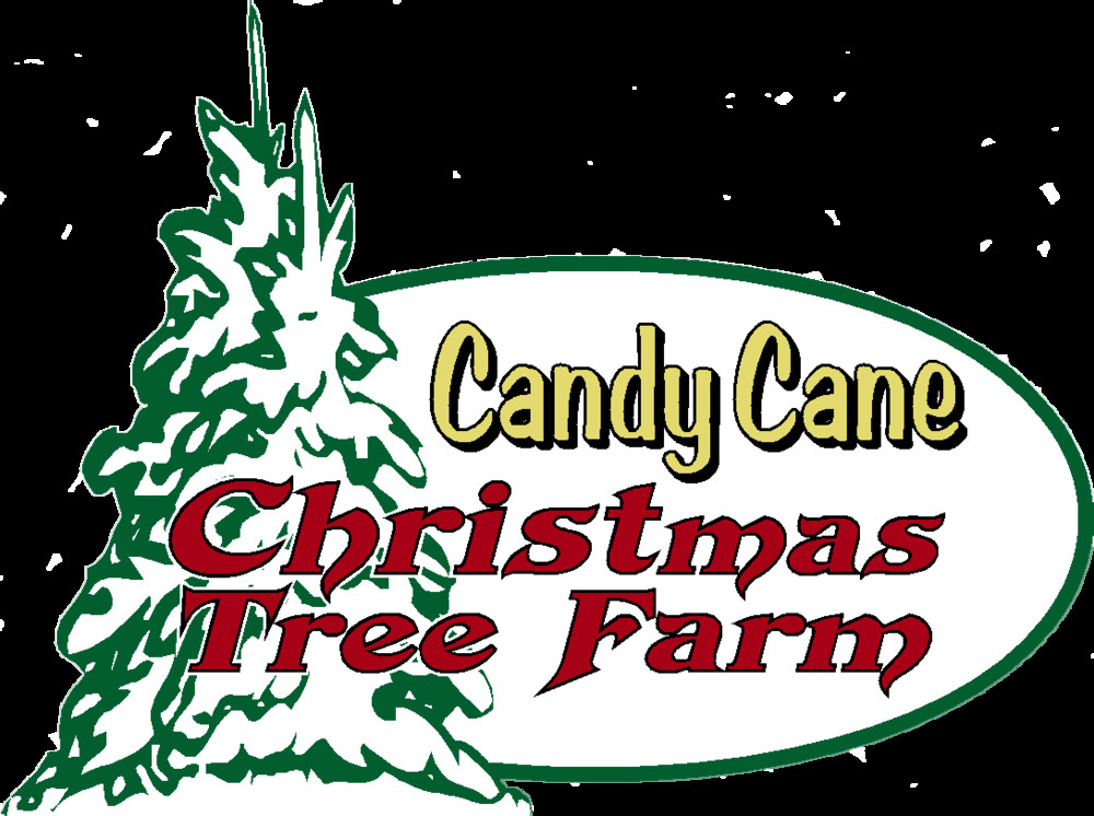 Candy Cane Christmas Tree Farm
 Candy Cane CHRISTmas Tree Farm
