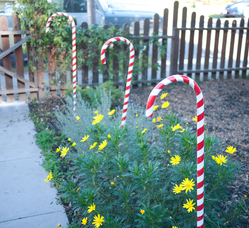 Candy Cane Outdoor Christmas Decorations
 PVC Candy Cane Decorations 1