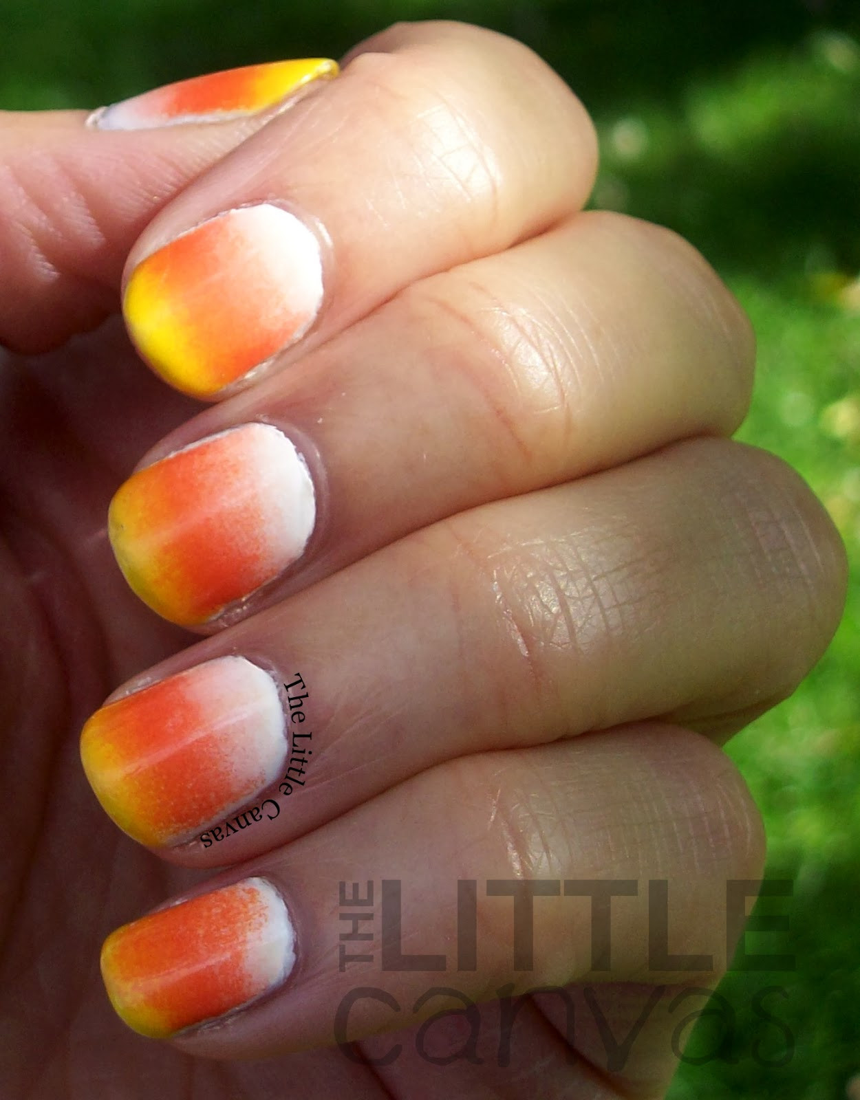 Candy Corn Colors
 Candy Corn Gra nt The Little Canvas