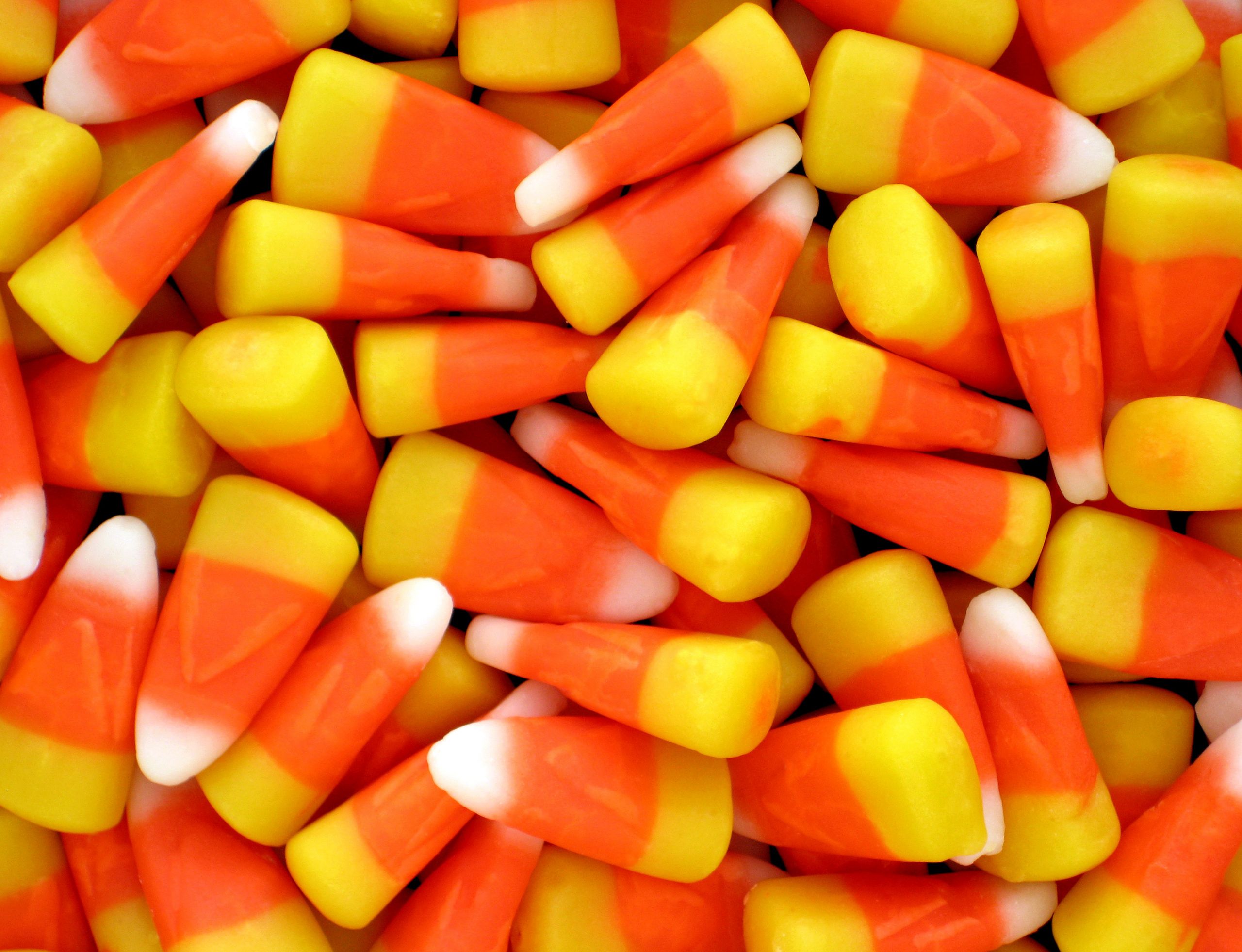 Candy Corn Colors
 Can You Grow Candy Corn