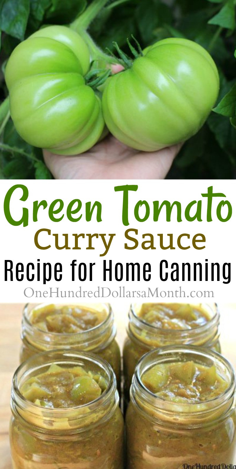 Canning Green Tomato
 Canning 101 Green Tomato Curry Sauce e Hundred