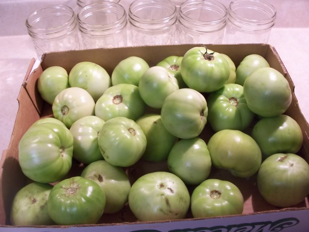 Canning Green Tomato
 Cowgirl s Country Life Canning Green Tomatoes for Frying