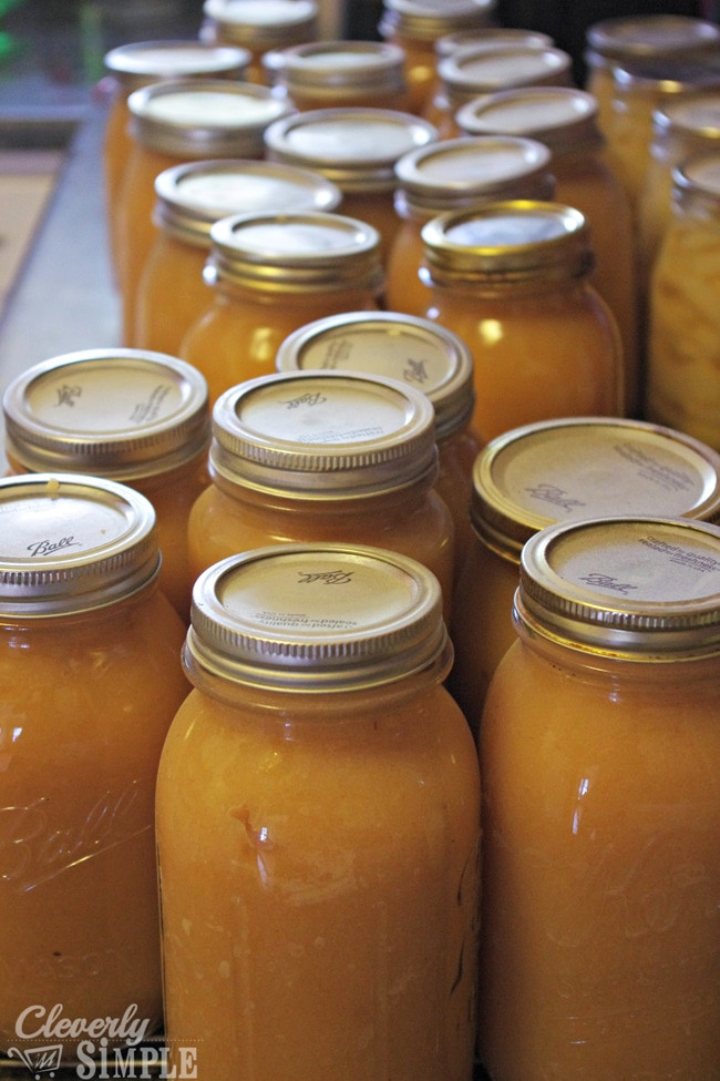 Canning Homemade Applesauce
 Canning Homemade Applesauce Cleverly Simple
