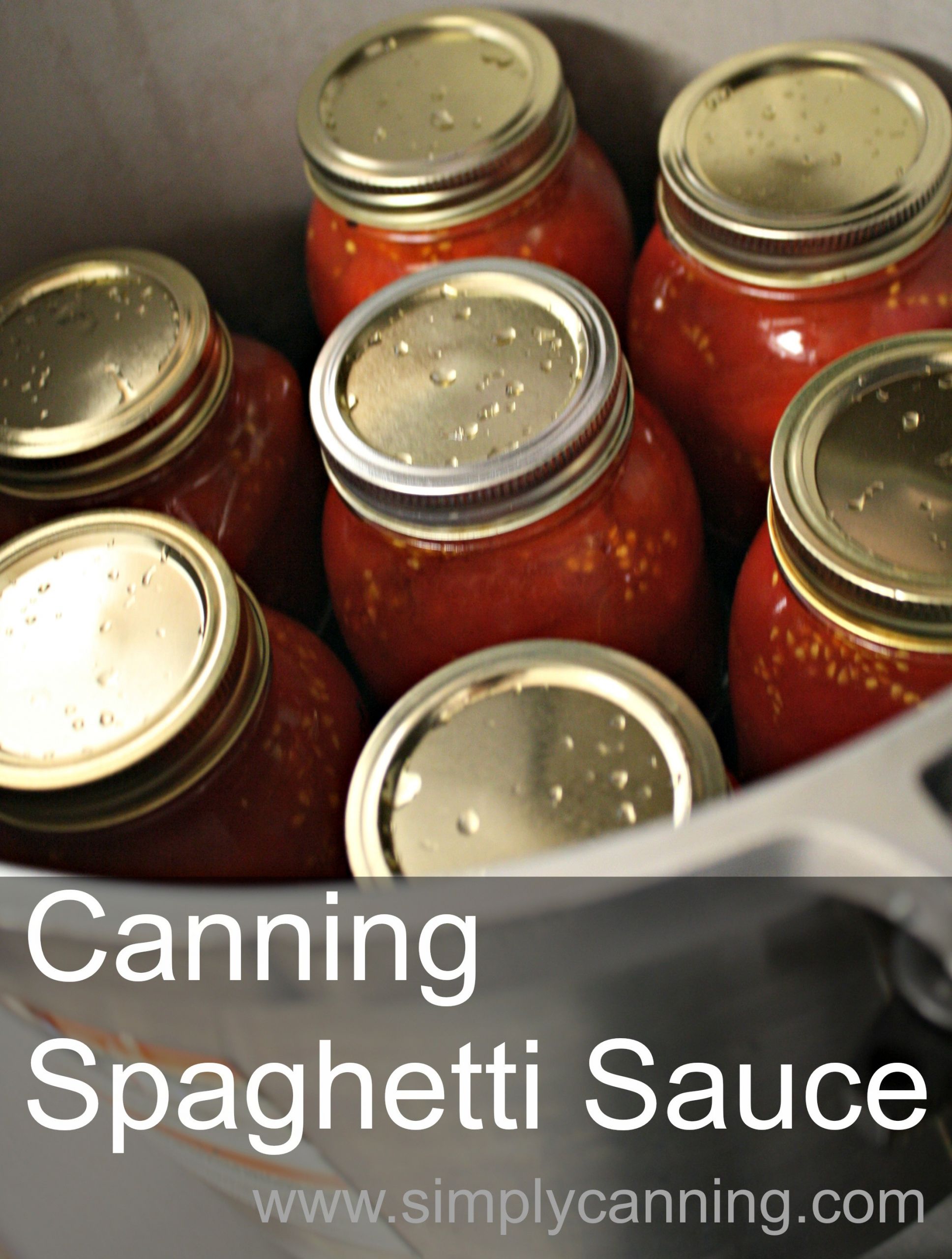 Canning Spaghetti Sauce Recipe
 Canning Spaghetti Sauce Recipe with meat that will save