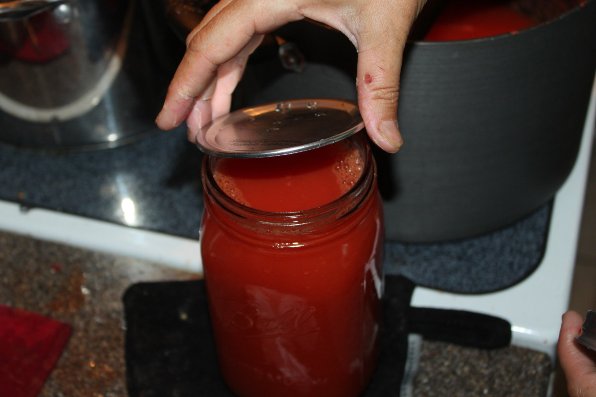Canning Tomato Juice
 Making Fresh Tomato Juice – A Simple Canning Recipe