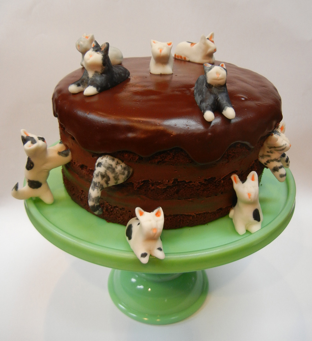 Cat Birthday Cakes
 Ronna s Blog Happy birthday Richard x 2