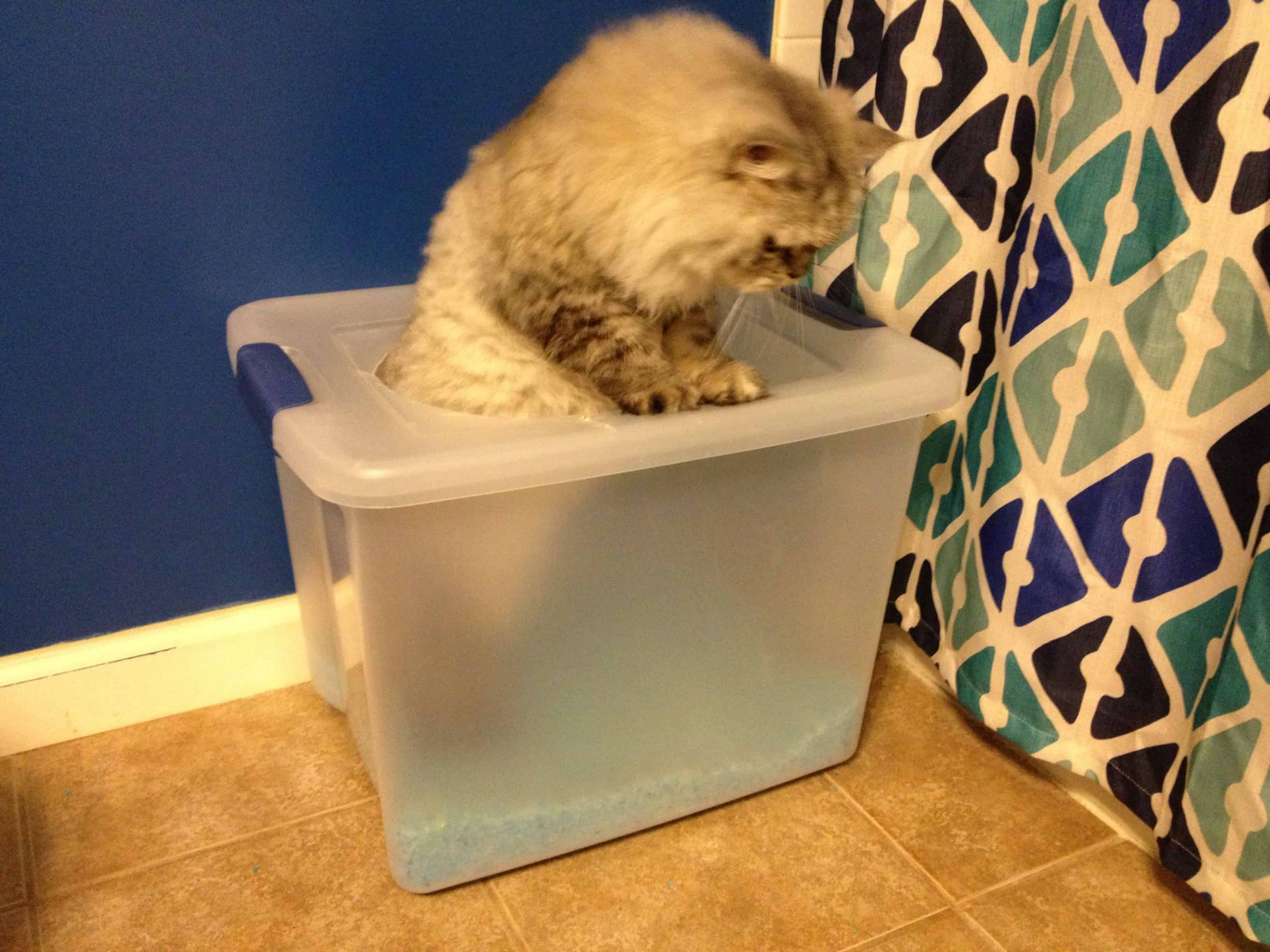 Cat Litter Box DIY
 A Proper Pooper