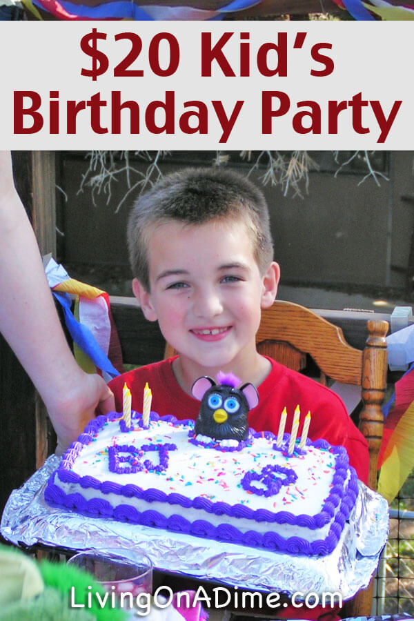 Cheap Birthday Decorations
 Cheap Kids Birthday Party Ideas $20 Birthday Party