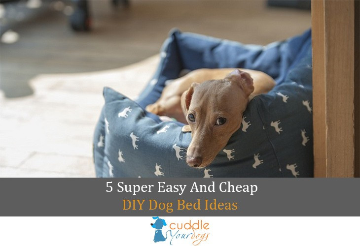 Cheap N Easy Dog Bed DIY
 5 Super Easy and Cheap DIY Dog Bed Ideas Cuddle Your Dogs