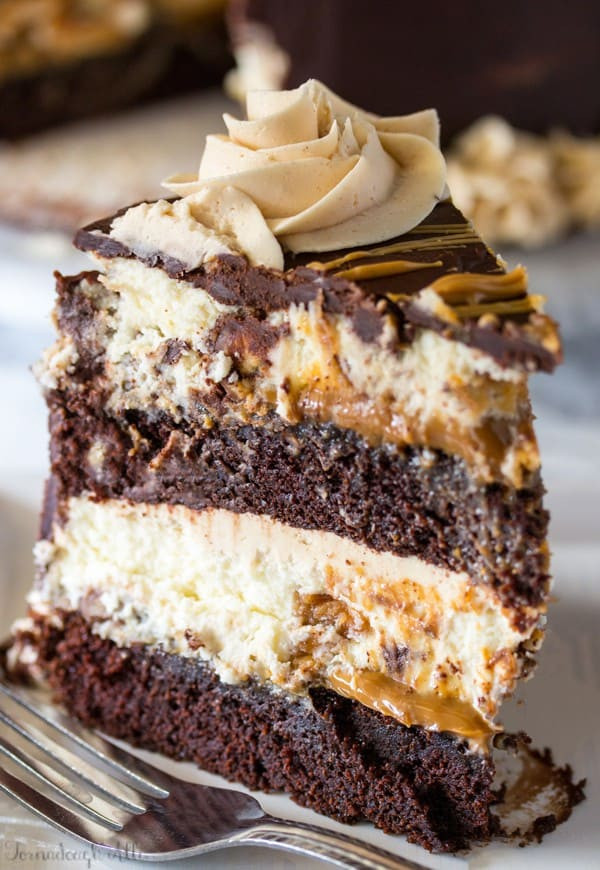 Cheesecake Factory Recipe
 Copycat Cheesecake Factory Reese s Peanut Butter Chocolate