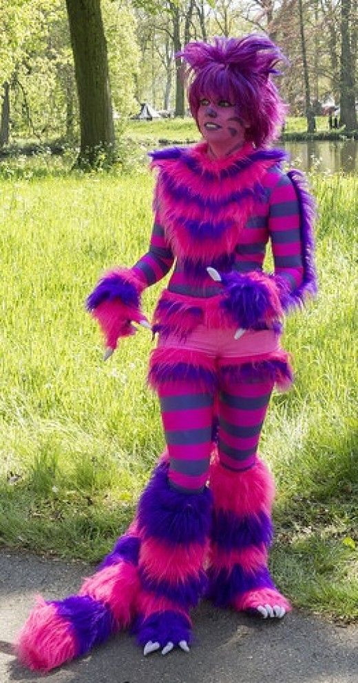 Cheshire Cat DIY Costume
 Cheshire Cat Costume