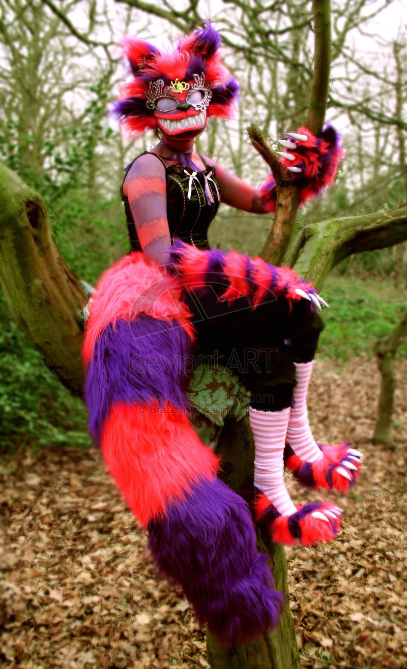 Cheshire Cat DIY Costume
 Cheshire Cat