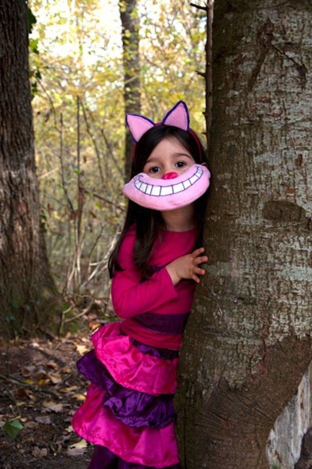 Cheshire Cat DIY Costume
 12 DIY Costumes That Are Better Than Store Bought es
