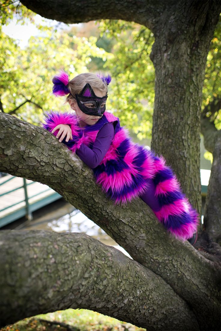 Cheshire Cat DIY Costume
 Best 25 Diy cat costume ideas on Pinterest