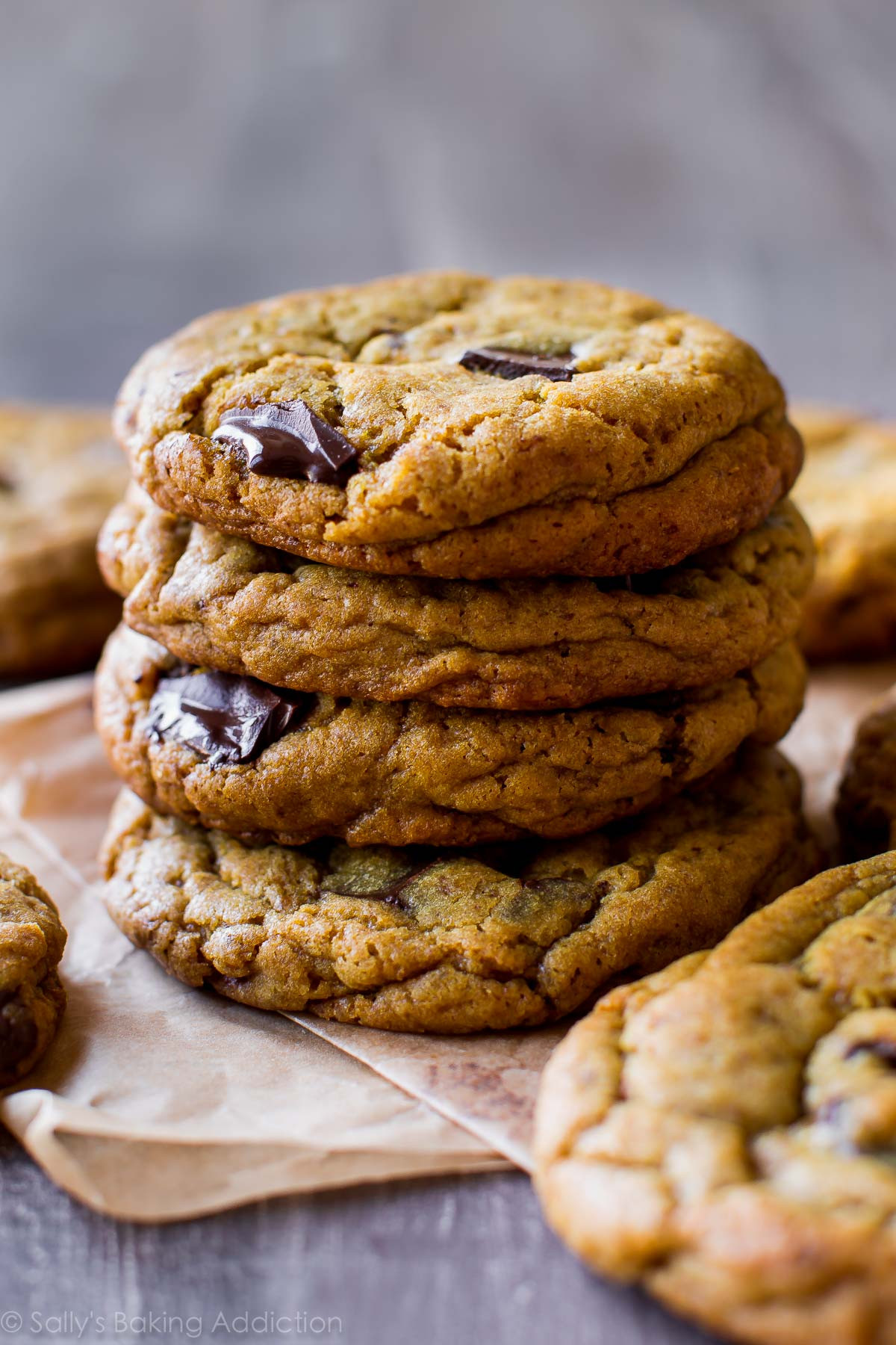 Chewy Chocolate Cookies Recipes
 Chewy Chocolate Chip Cookies with Less Sugar Sallys