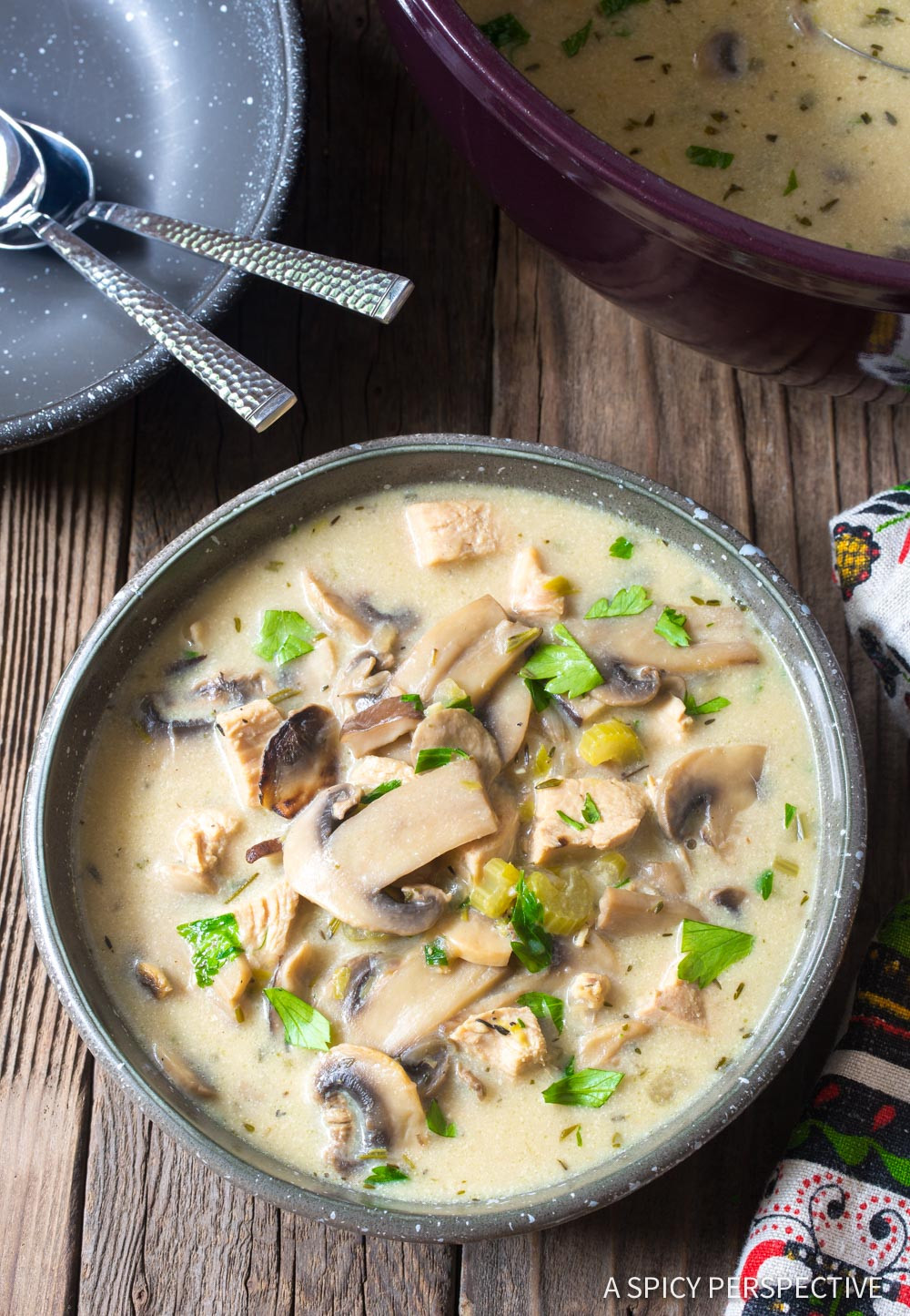 Chicken Breasts Mushroom Soup
 Low Carb Creamy Chicken Mushroom Soup Video A Spicy