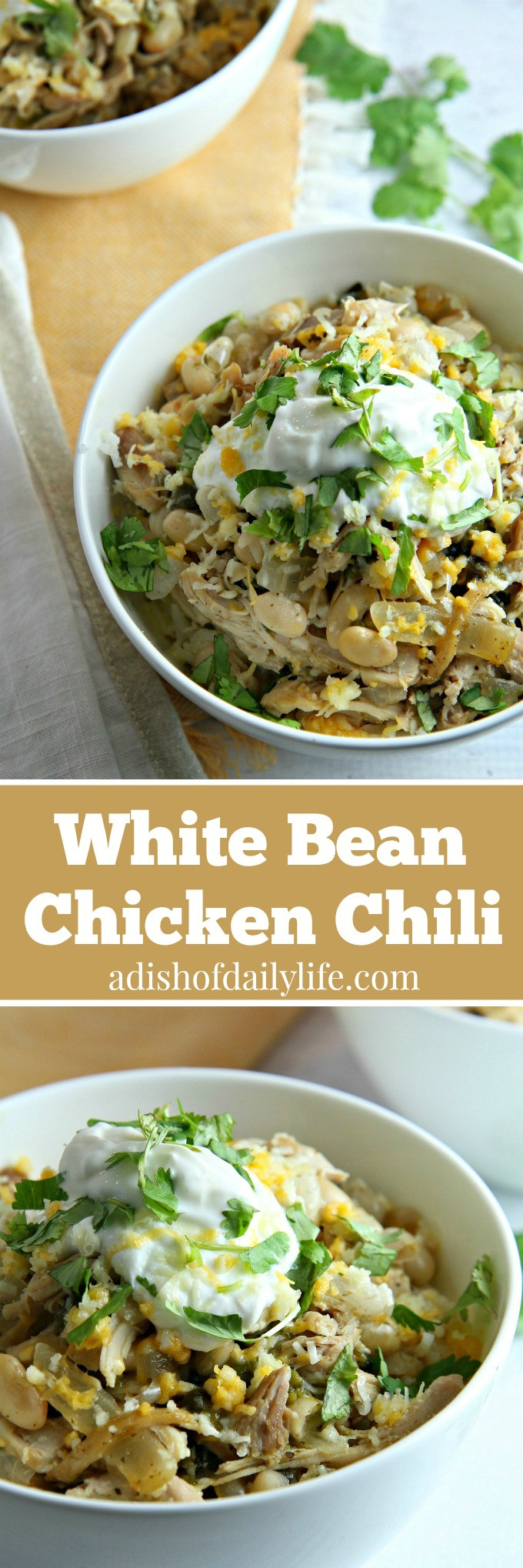 Chicken Chili With White Beans
 White Bean Chicken Chili recipe A Dish of Daily Life