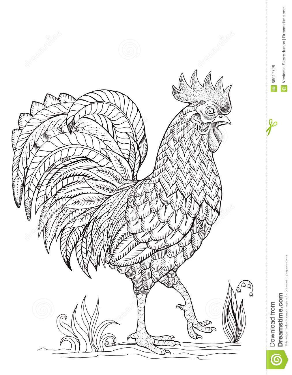 Chicken Coloring Pages For Adults
 Coloring cock rooster stock illustration Illustration of