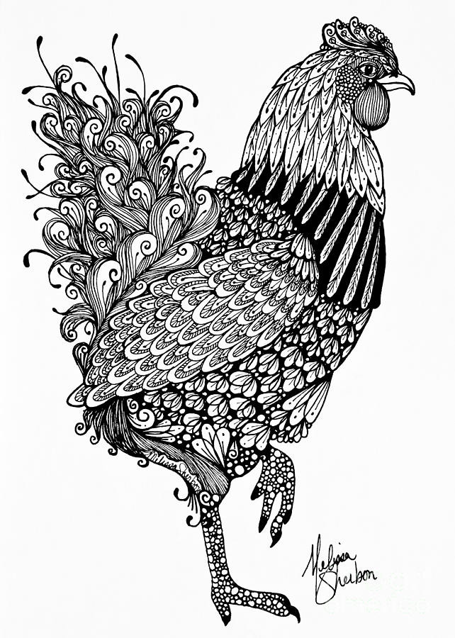 Chicken Coloring Pages For Adults
 Fanciful Chicken Drawing by Melissa Sherbon