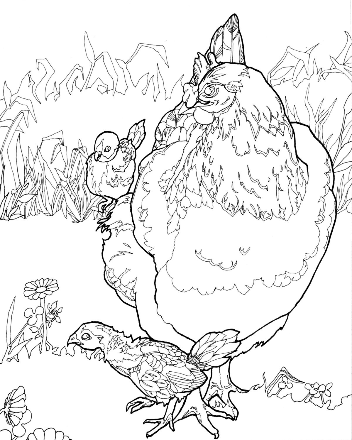 Chicken Coloring Pages For Adults
 DIGITAL DOWNLOAD Chicken Coloring Pages Adult Coloring Pages