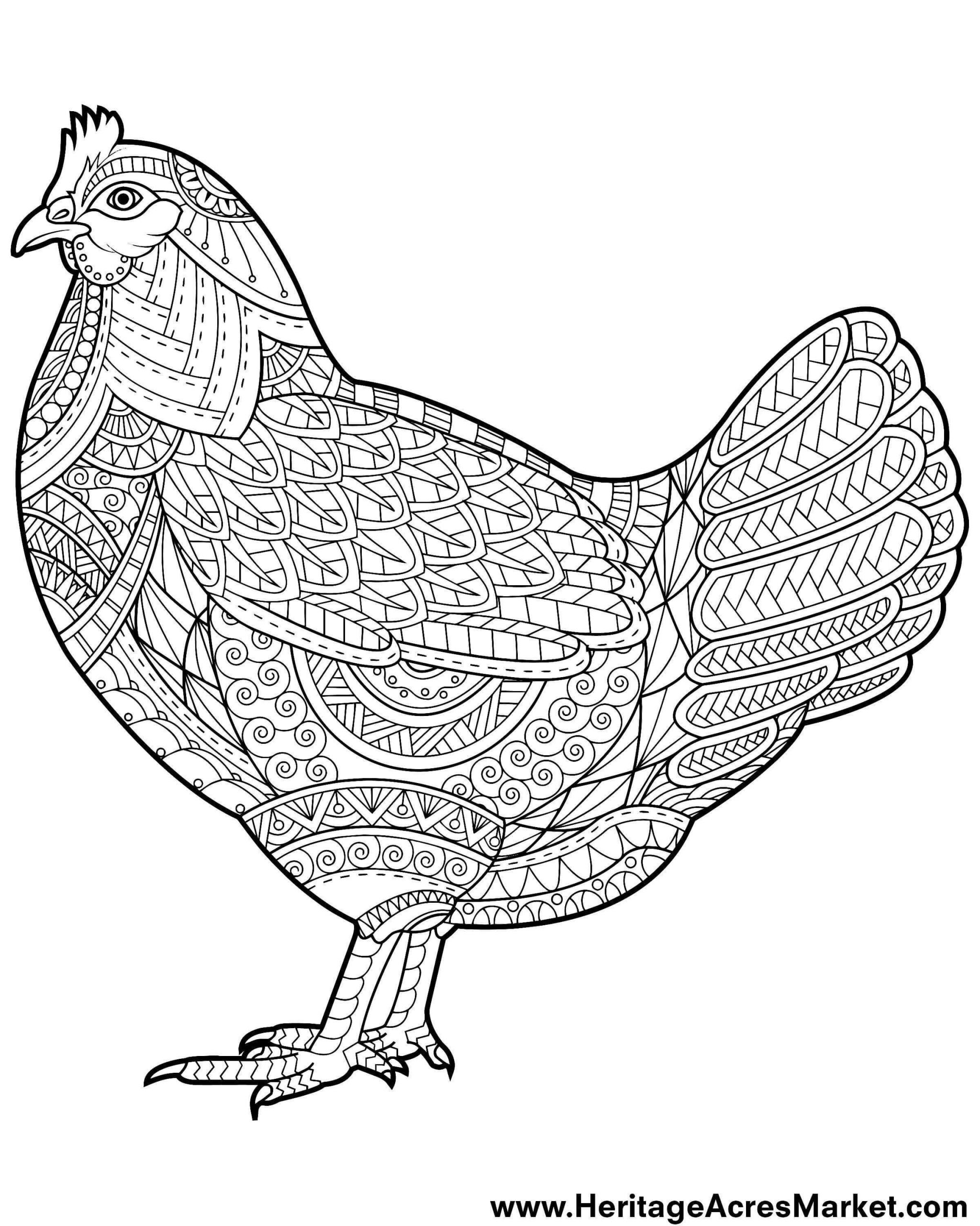 Chicken Coloring Pages For Adults
 Funky Chicken Coloring Page Heritage Acres Market LLC
