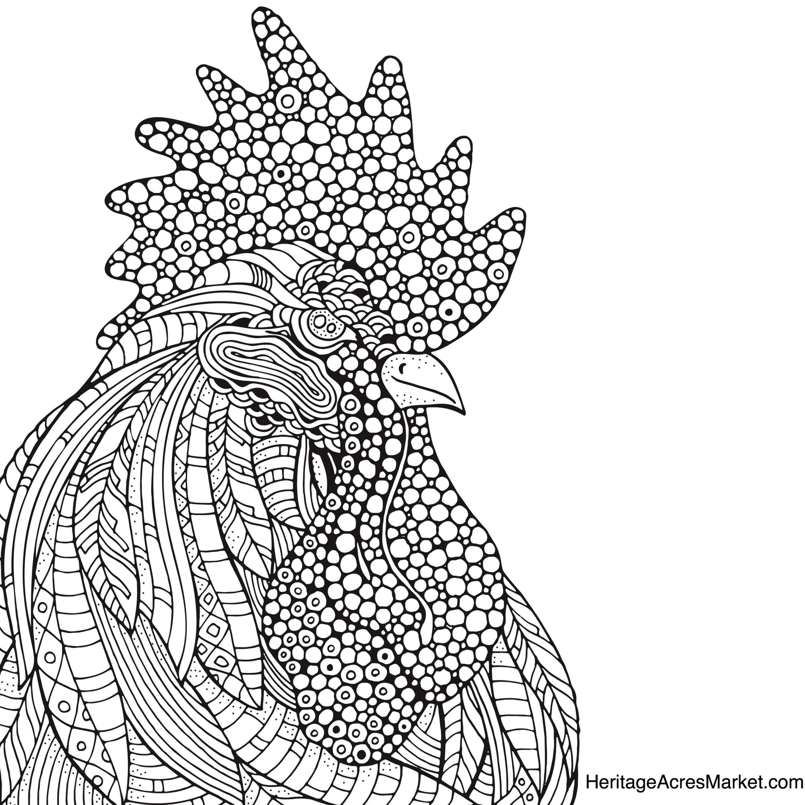 Chicken Coloring Pages For Adults
 Rooster Coloring Page Heritage Acres Market LLC