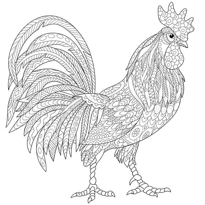 Chicken Coloring Pages For Adults
 Zentangle Stylized Cartoon Rooster cock Isolated