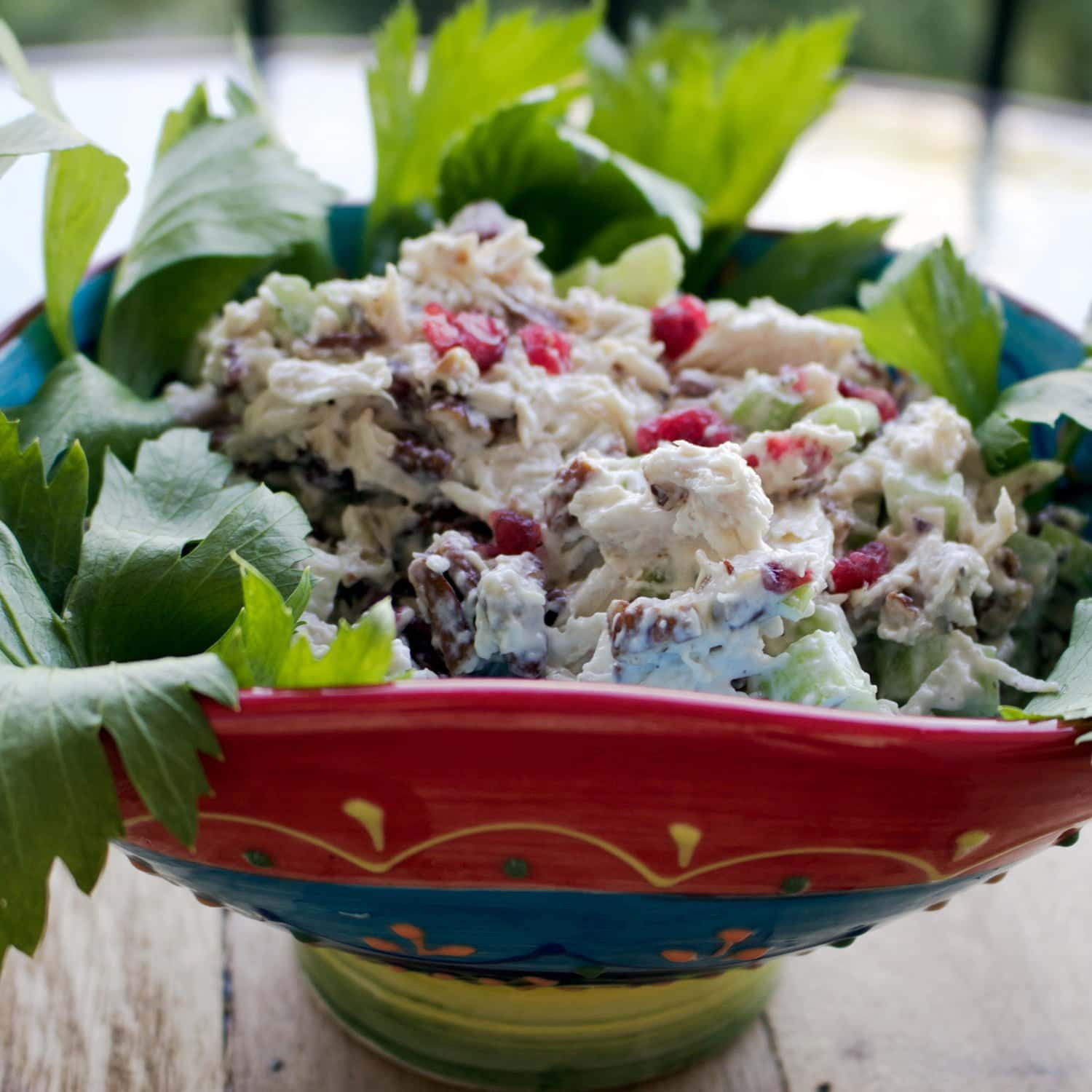Chicken Salad Recipe With Cranberries
 Cranberries Pecans Chicken Salad