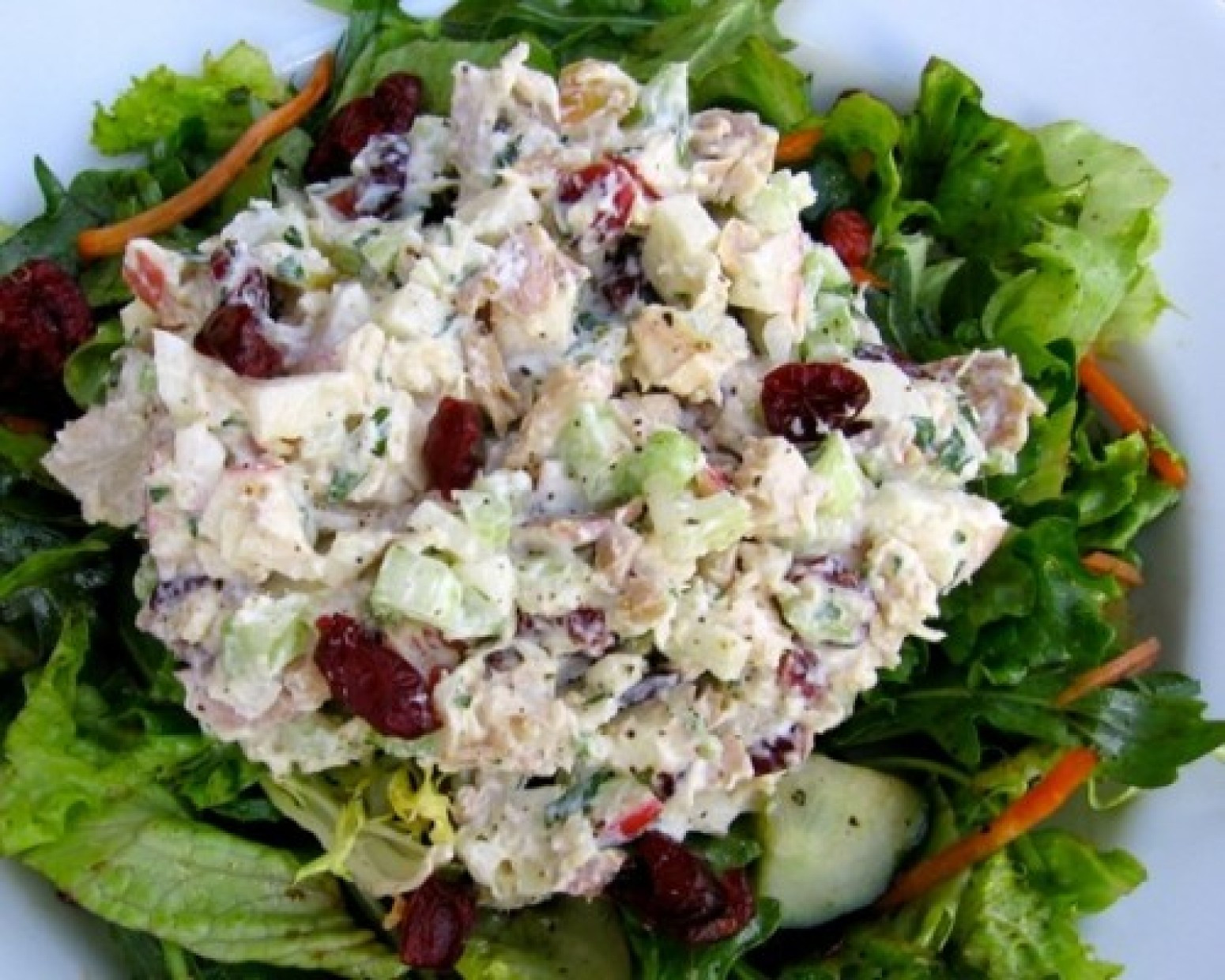 Chicken Salad Recipe With Cranberries
 Healthy Chicken Salad with Apples & Cranberries Recipe
