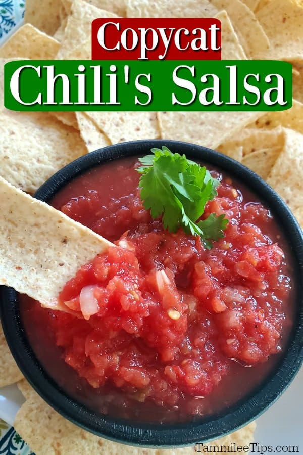 Chilis Salsa Recipe
 Copycat Chili s Salsa Recipe Tammilee Tips